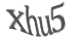 Текст с картинки